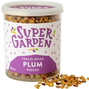 Freeze dried plum pieces