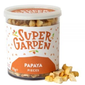 Freeze dried papaya pieces